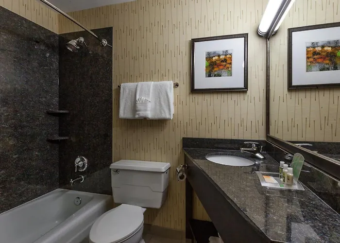 Hotel Chicago North-evanston By Ihg 3*